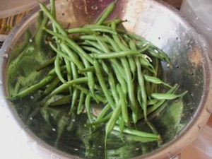 Garden Green beans