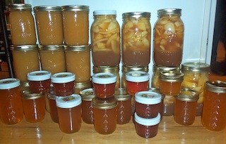 apple canning