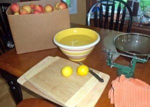 supplies for canning apples