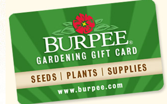 Burpee Gift Card