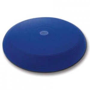 Fitter first sit disc