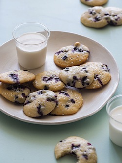 blueberry-yogurt-cookie-recipe