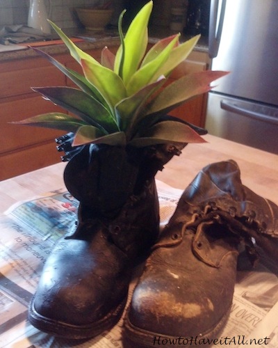 Plant in Boot