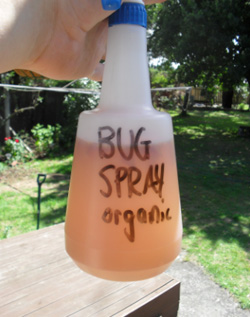 bug-spray