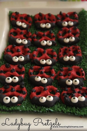 1-ladybug-pretzels-spring-party-008