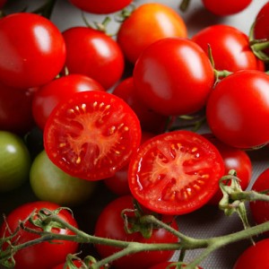 tomato-campari