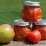 canning-salsa-1024x722