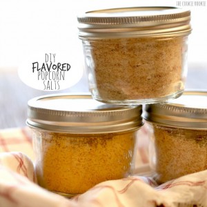 diy-flavored-popcorn-salts-feature