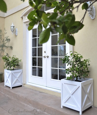 french-doors-and-planters
