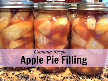 Apple Pie Filling Canning Recipe | How to Have it All